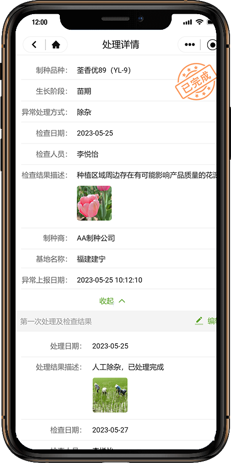 9dd212e9448850f5fcf4fe356895c1ff_a318e79ee334f7e5f5bc4dbffe611fd6-sz_147847.png 制種數據