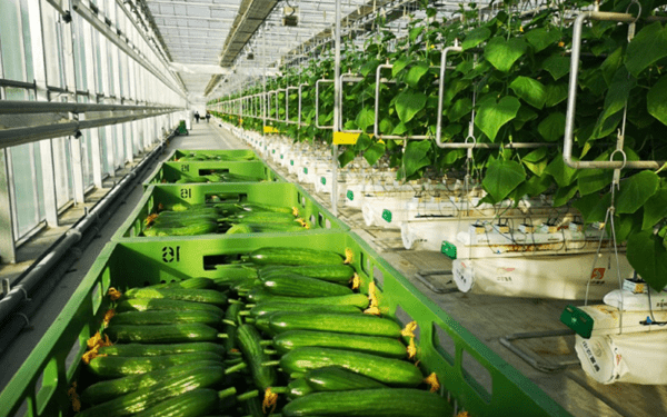 715799c833c21136c382288151f617c5.png 機械農業