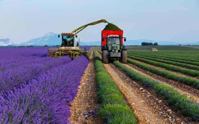 c8b7be308fad2f880c8bcba7424cf97b.jpeg 垂直農業