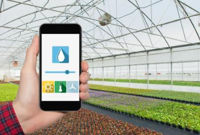 766214b17cdc4671808290a0736dac0e.jpeg 病蟲害監測