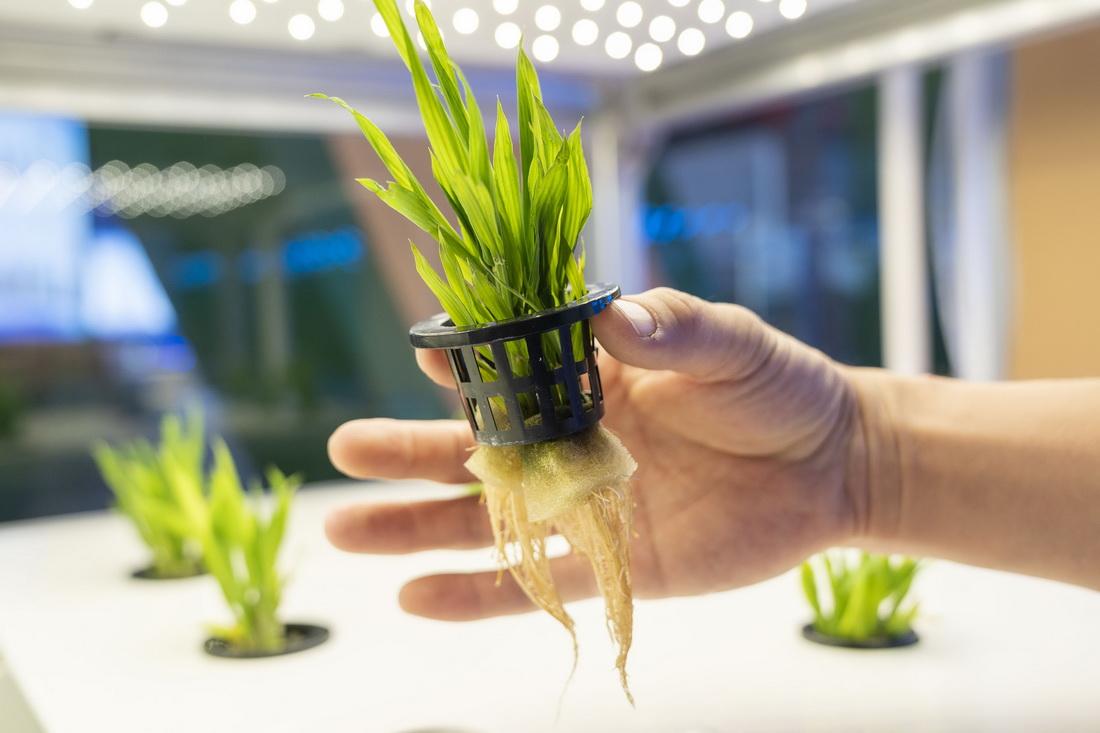 ead510e1c4e5b0e80d5d4606d1caf2cb.jpeg ead510e1c4e5b0e80d5d4606d1caf2cb.jpeg