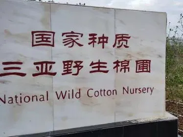 圖片2.png 制種數字化