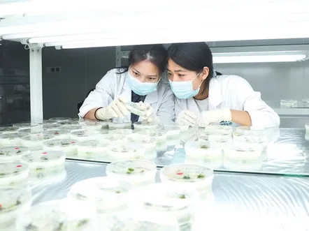 圖片3.png 農業物聯網