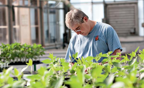 7bfbdd7efaeb437f51cbd7e6b4878e3f.jpg 育種軟件