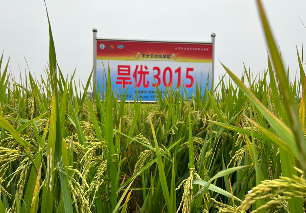 圖片1(9).png 智慧種業