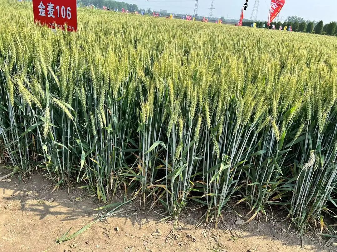 640 (2).jpg 640 (2).jpg