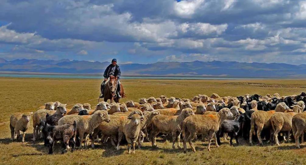 835beab86e92eb263cbf723998d6c429.jpg 哈薩克斯坦農業