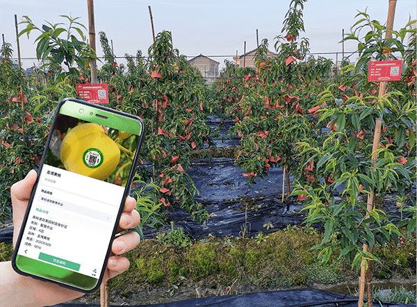 98cf03a1e99c969f6ced5e28ae38b053.png 智慧果園