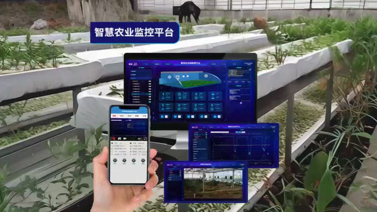 0c06496aebc5f2881c2ed1fe02383f72.jpeg 智慧種植平臺