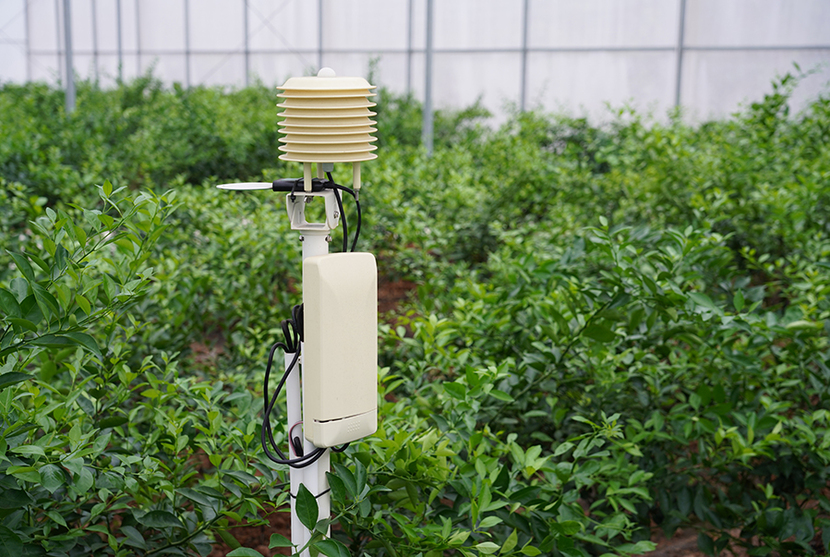 d90f9a378b21284f6d848c0014da30c5.jpg 種子生產大數據