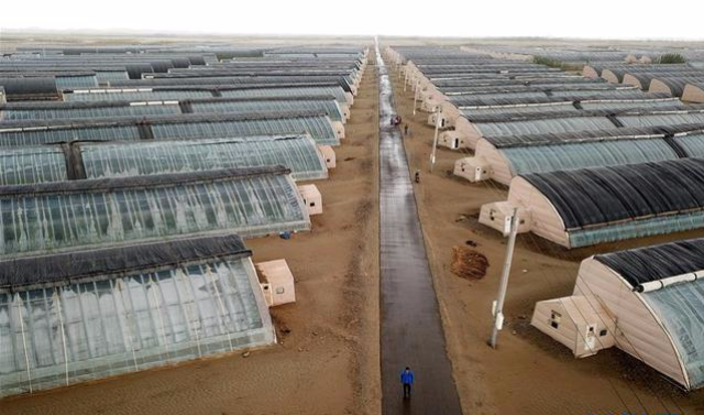 a23cf6e17bccfe473dd3b24bd194b389.jpg 溫室大棚