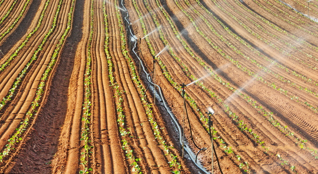 9633c92975c206aaeaa4c0515c161ada.jpeg 病蟲害防治管理平臺