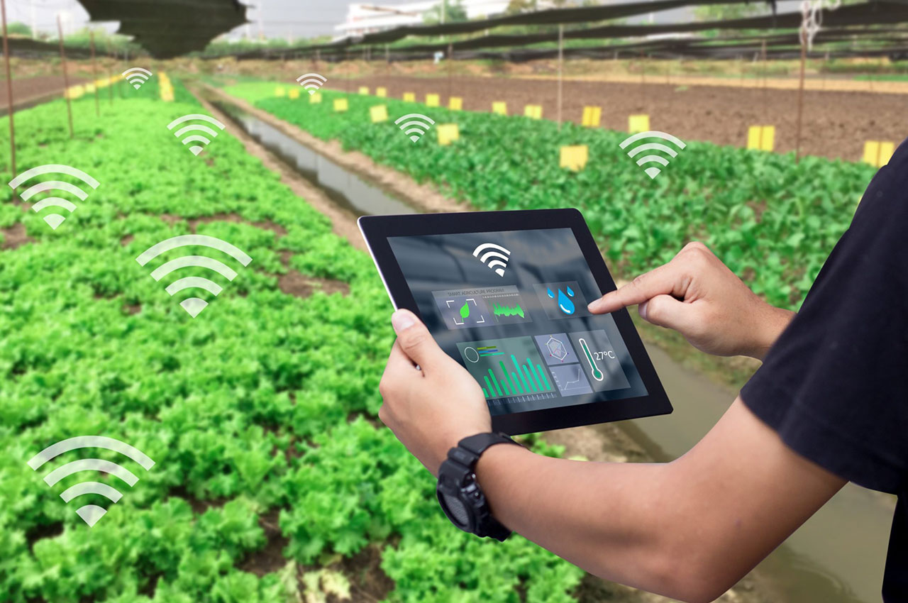 4bee4f499cd4df13e80918b56ee8a59f.jpeg 農業物聯網