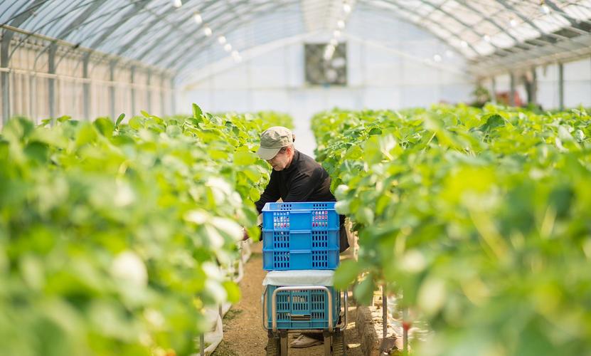 f42ced99889bcc7906bfb1d1ff37dcc4.jpeg 農業傳感器