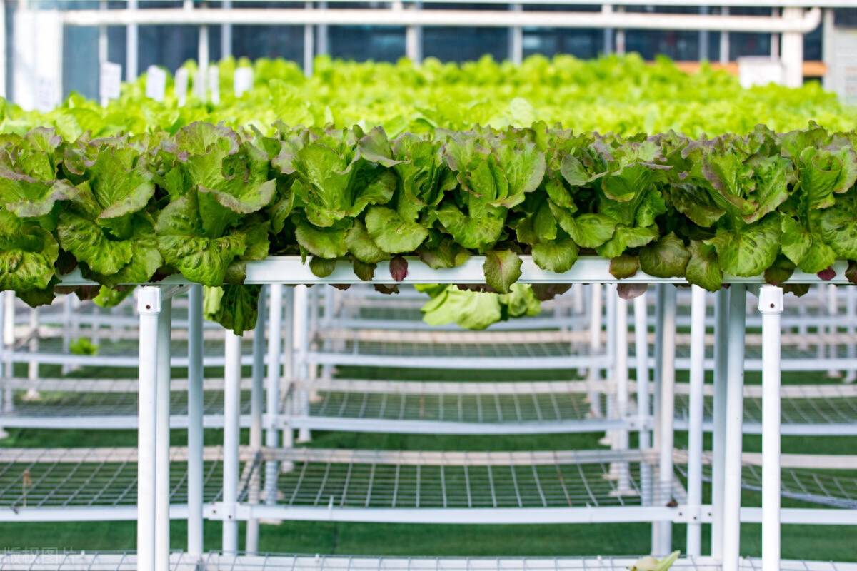 f5a77a5b09a82ae1596b4f53275aa874.jpeg 現代農業技術