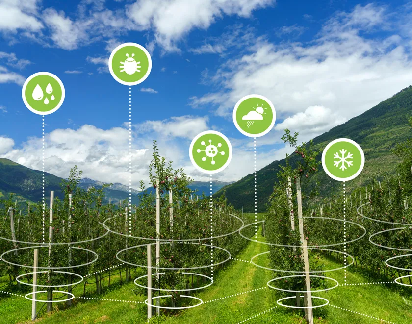 微信圖片_20241209104335.png 智慧果園