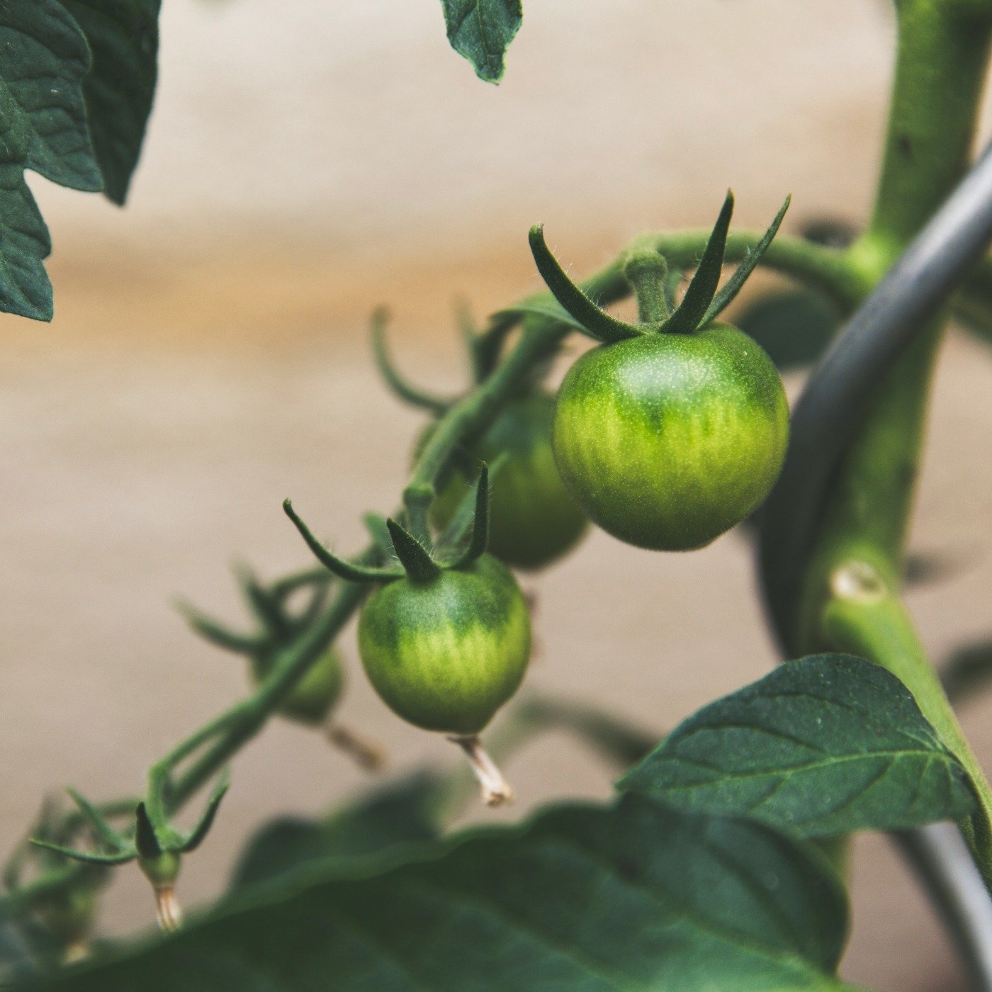 solutions_image.jpg 數字農業