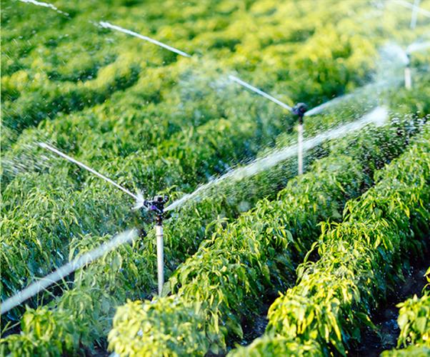 10c629935da16d57c241130a12a57bf8.jpeg 農業機器人