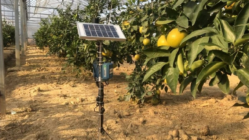 果園數字化管理