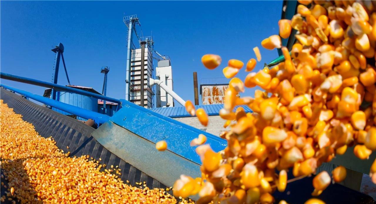 1b0b11f23821f9a7e69ceb09dedbc31a.jpeg 國外農業