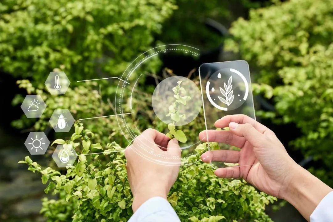 a6d139d576bed47e71298ba2591d801d.jpeg 現代農業