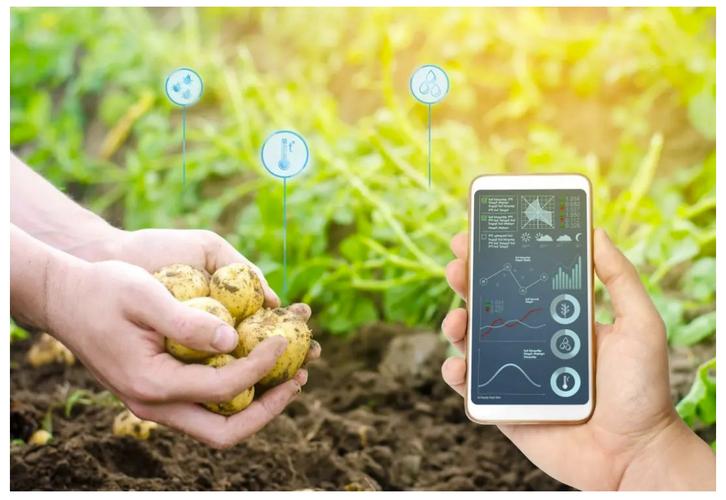 5a800d6837495c6903bb11c2794c5239.jpeg 智慧育苗系統