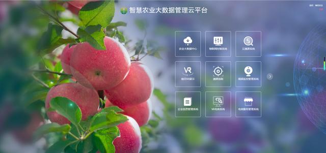 1ca9e474-080e-4c79-80ca-77740bb891fd.jpg 聯智創新智慧農業