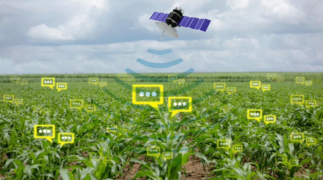 a9786cdb5d2c15ddcb1189e9d4148eae.png 農業物聯網