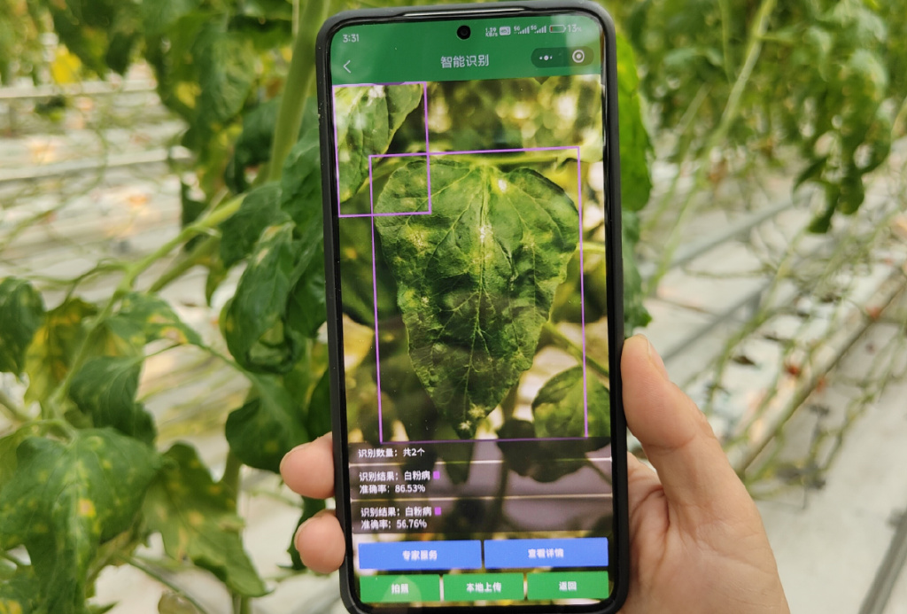 90d7837802186dcb1597f5a59087e86f.jpg 農業物聯網