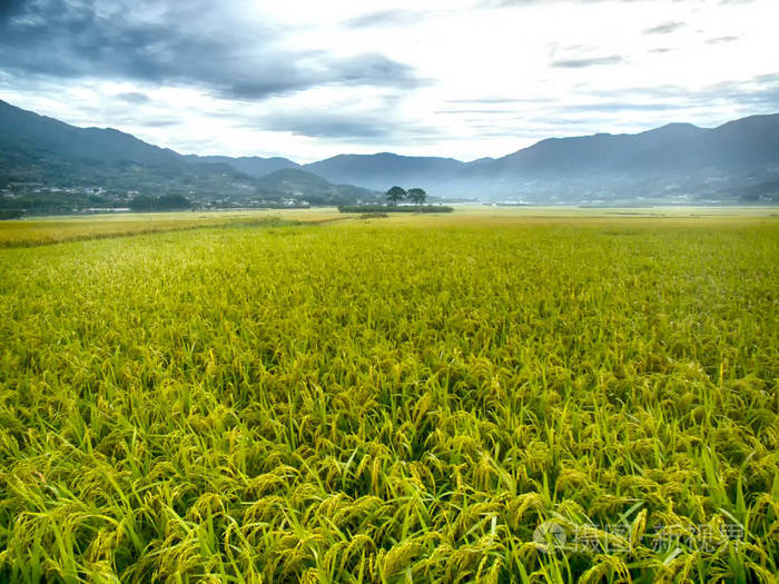 dbb1d8763b286fe54b88c8b928dd473d.jpeg 智慧農業