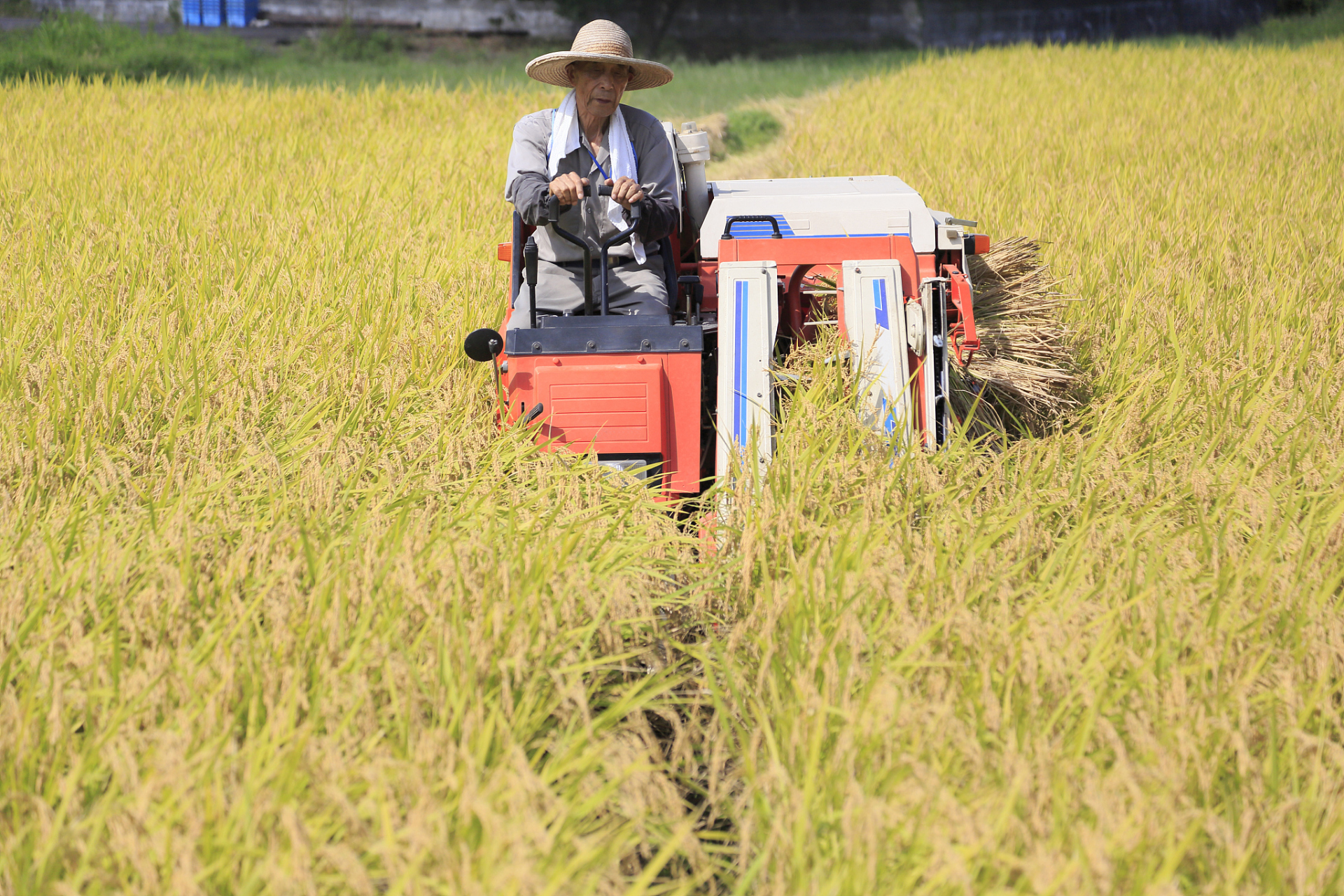 cf826dec2d8c8dfe442fcd5e9f80ac15.jpeg 聯智創新智慧農業平臺