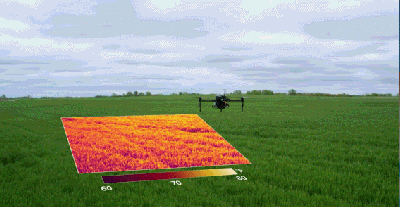 eb8816bd27c88cb5cb8e5d6217325909.gif 農業現代化