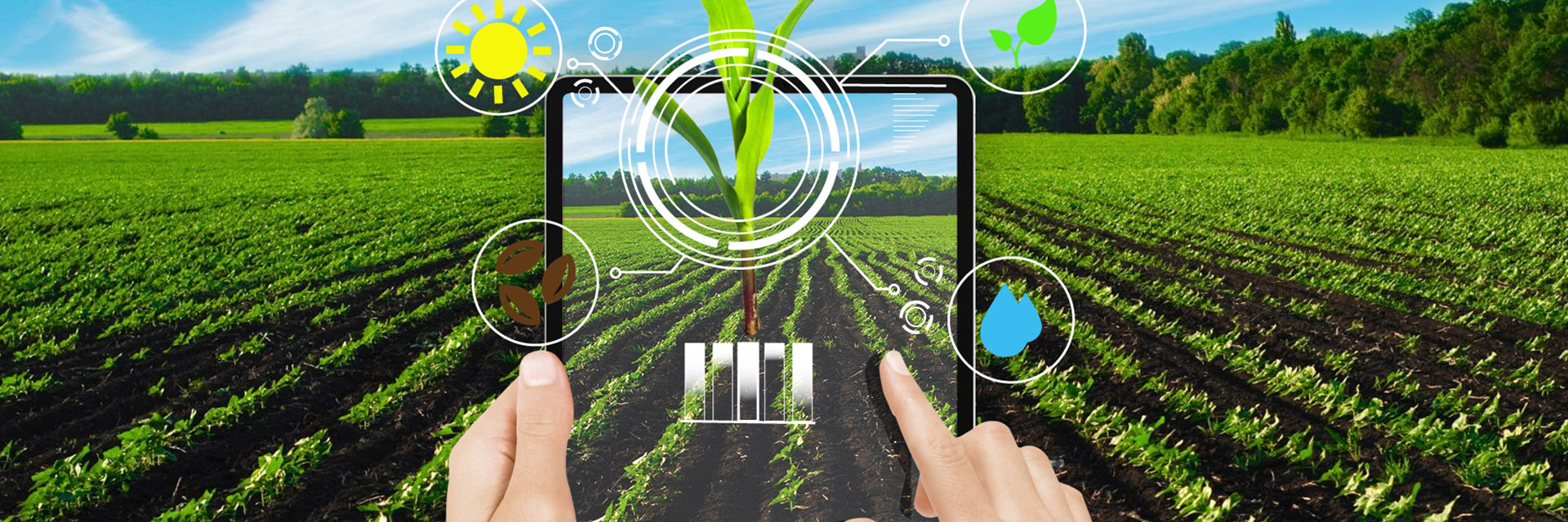 可視化農業數據大屏