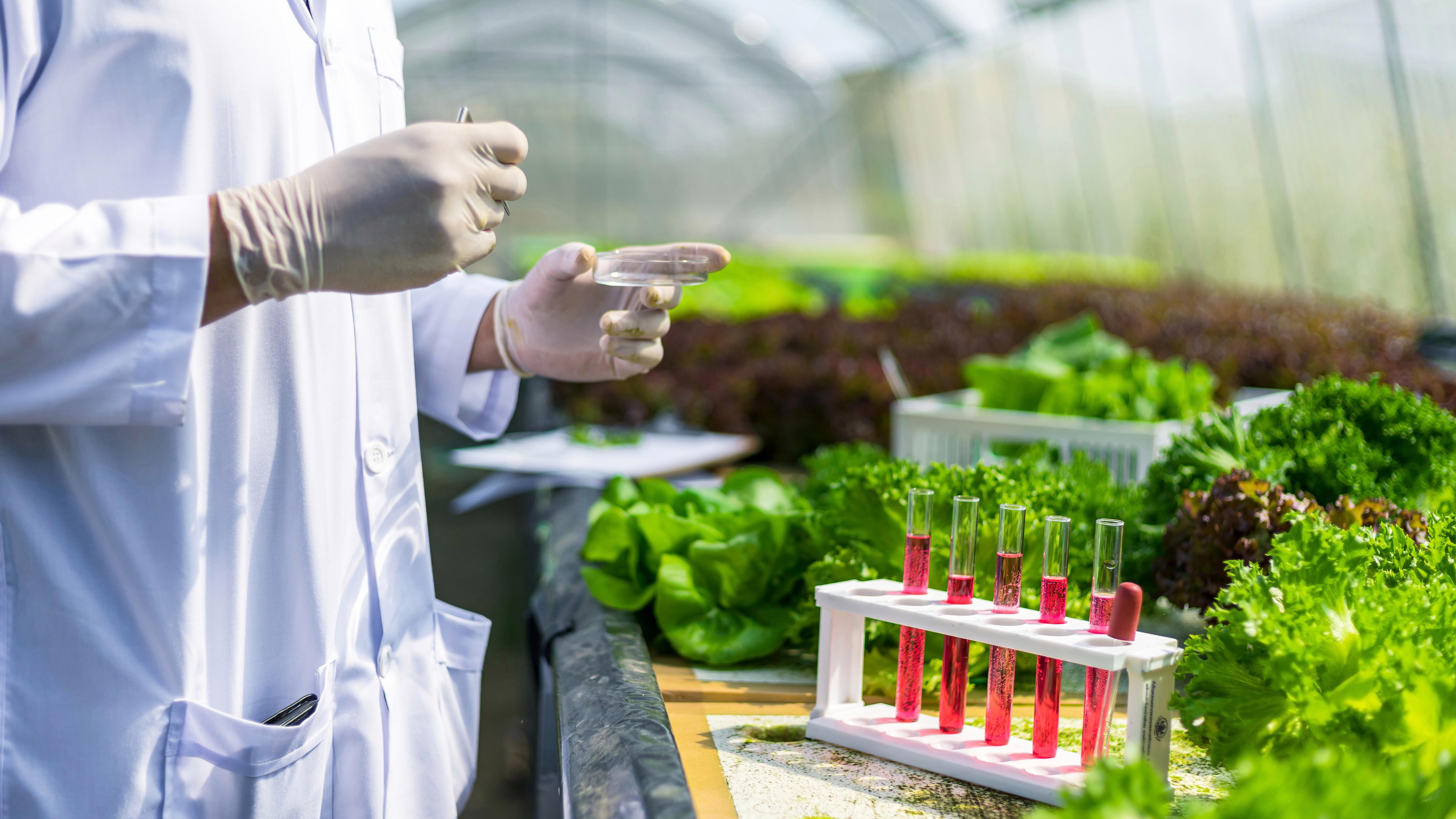 e89b274a62ec12107f3df1807b4b6479.jpeg 種子追溯軟件