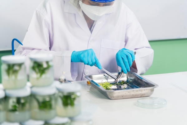 66feaea47afe318c88ff53d2_Plant breeding Agriware software.jpg 智慧育種