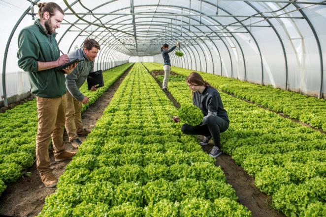 微信圖片_20250428150325.png 育種數據管理