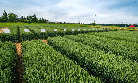 微信圖片_20250428150205.png 育種軟件