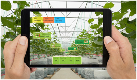 ff55976df55fc48e26b69c5919990d96.jpg 智慧農業軟件