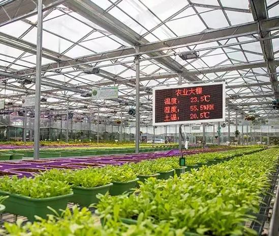 8f5c00b9432e7047d292232bc2967923.jpeg 智慧農業