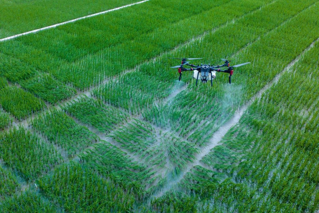 f86867c475d4c27c841ff9ed2fc7dbdf.jpeg 大數據農業