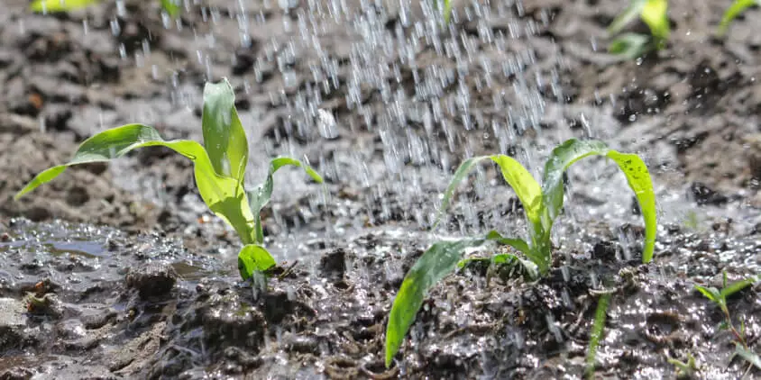 微信圖片_20250526100139.png 智能農業傳感器