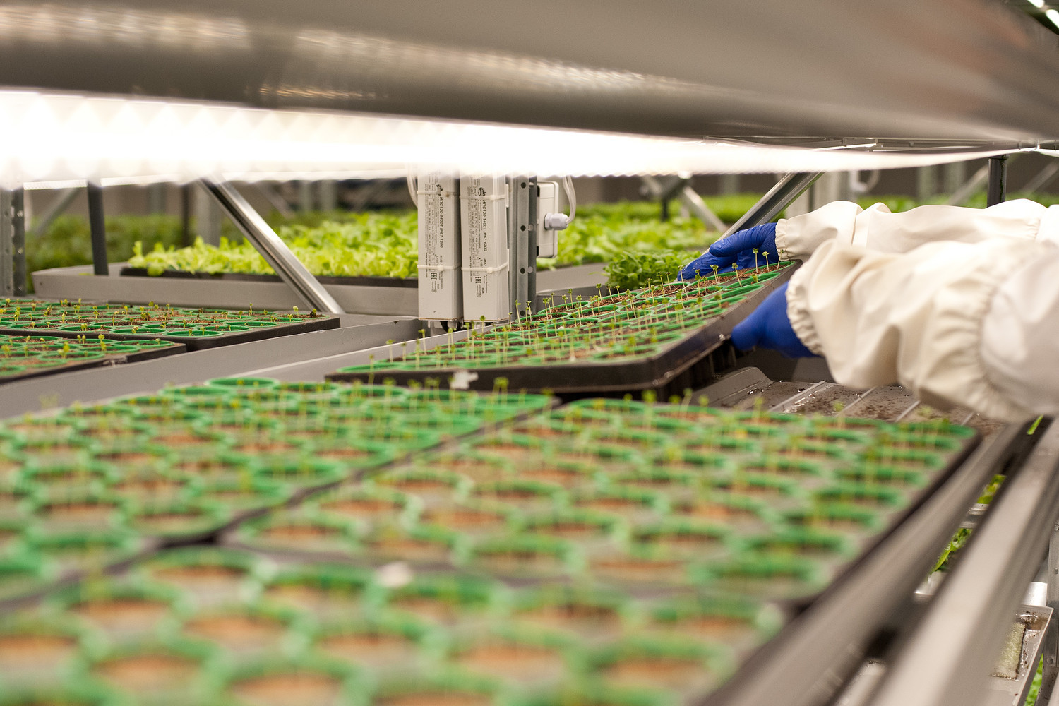 微信圖片_20250526101847.png 微信圖片_20250526101847.png