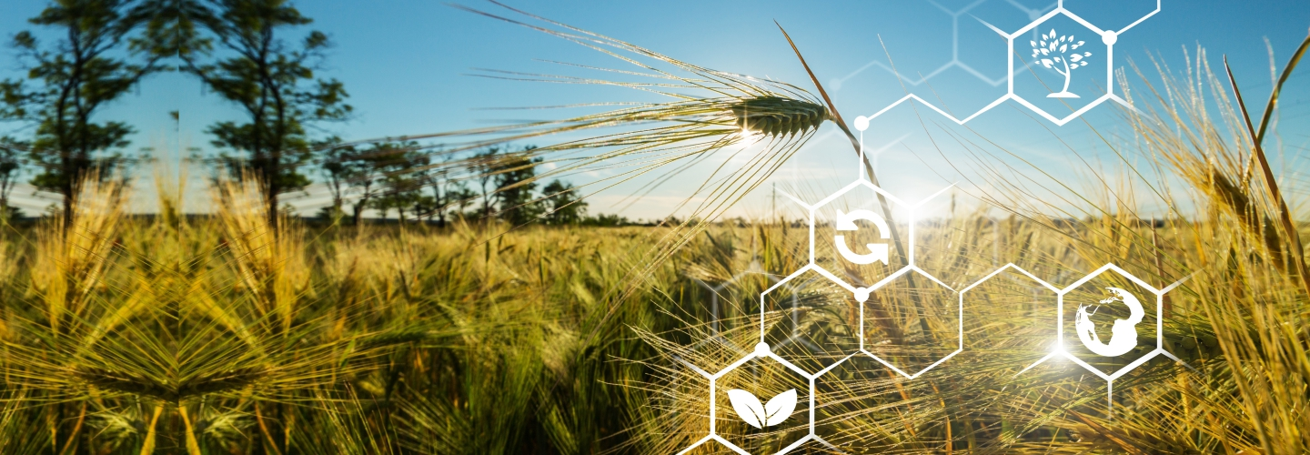 微信圖片_20250528112736.png 微信圖片_20250528112736.png