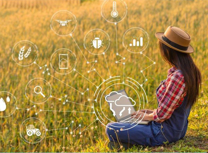 202408-Importance-of-Data-Analysis-Software.jpg 育種軟件