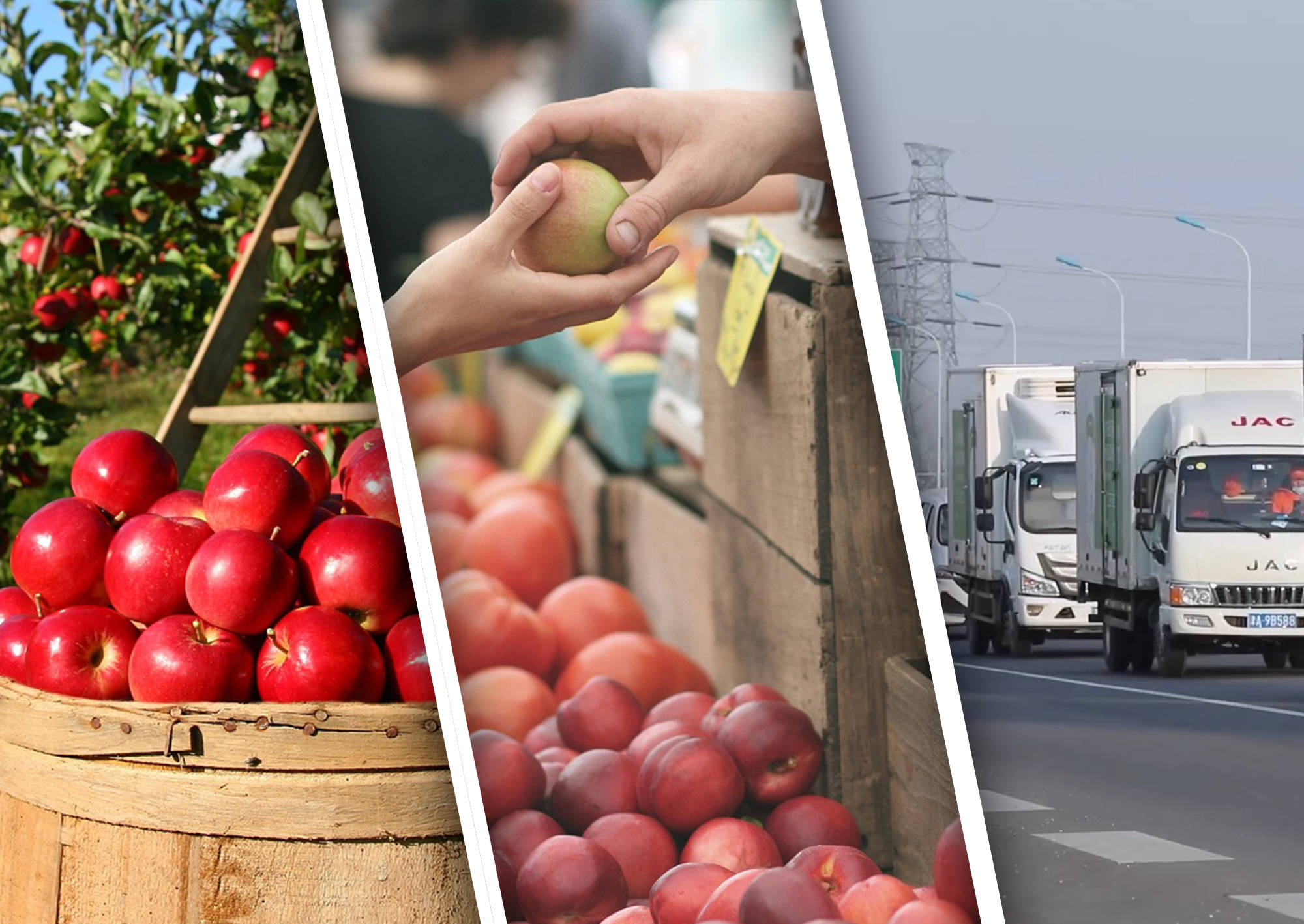 9583d8f00c5576965ac62e330dd09fd2.jpeg 9583d8f00c5576965ac62e330dd09fd2.jpeg